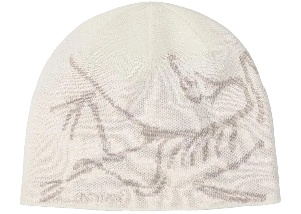 Arc'teryx Bird Head Toque Arctic Silk Rune | Il Berretto Gorpcore Definitivo