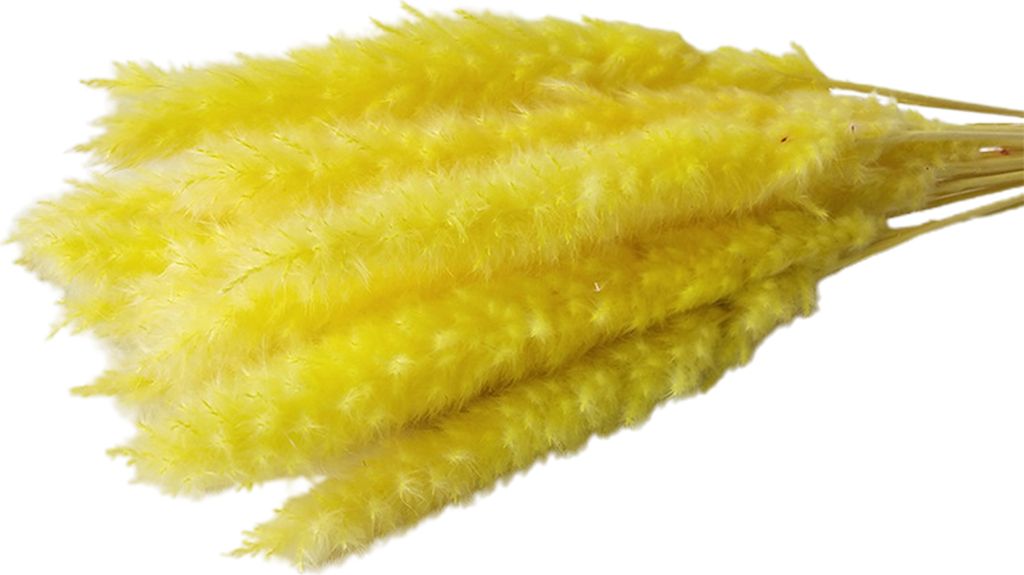 Künstliches getrocknetes Pampasgras, realistische, lebendige Farbe, pflegeleicht, Hochzeits-Mittelpunkt, Pampasgras, Kunstpflanze, Nachbildung