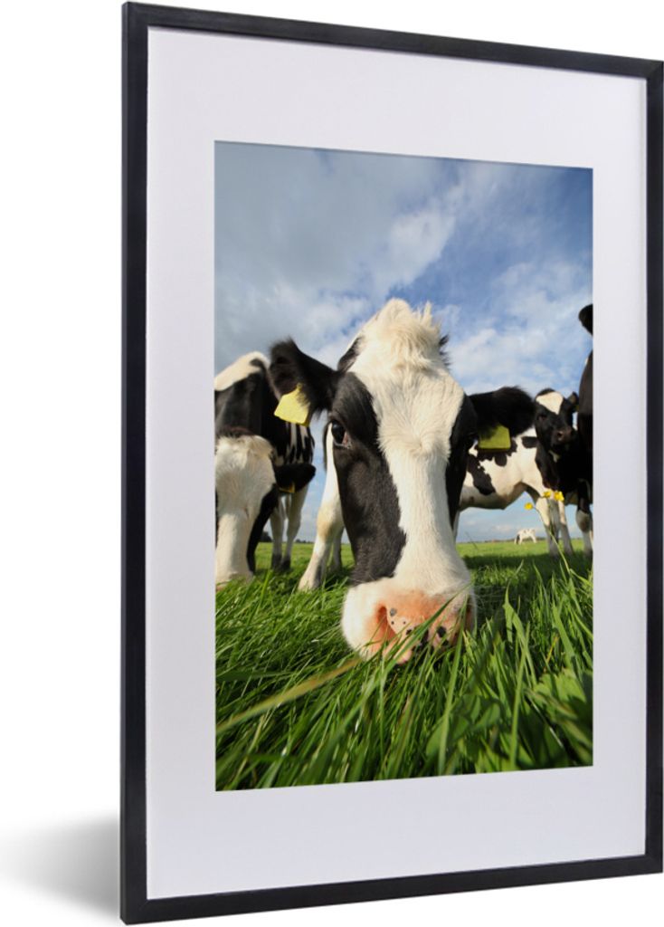 MuchoWow MuchoWow Gerahmtes Poster Kuh - Gras - Nase - Luft 40x60 cm - Poster mit zchwarzem Bilderrahmen - Poster in Rahmen