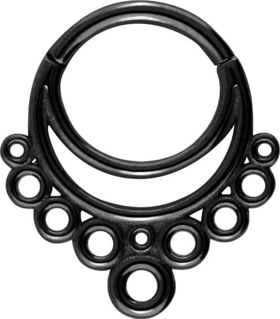Ohrpiercing, Nasenpiercing, Septum Piercing Chirurgenstahl Segmentring Clicker 2 RINGE + 10 KREISE