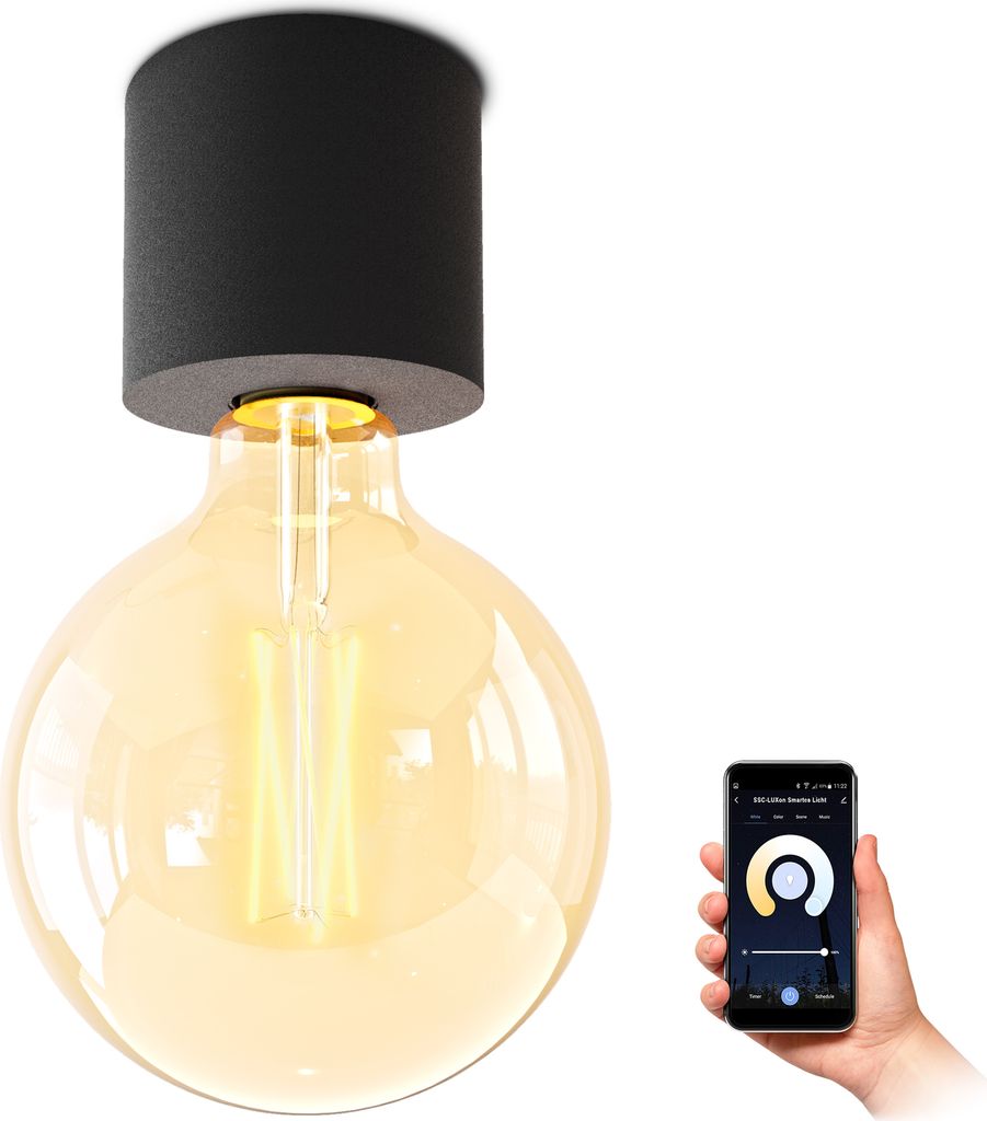 SSC-LUXon NAMBI Aufbau Deckenleuchte inkl. Smart Home WiFi E27 LED Vintage Globe - Aufbauleuchte schwarz kompatibel mit Alexa, Siri & Google