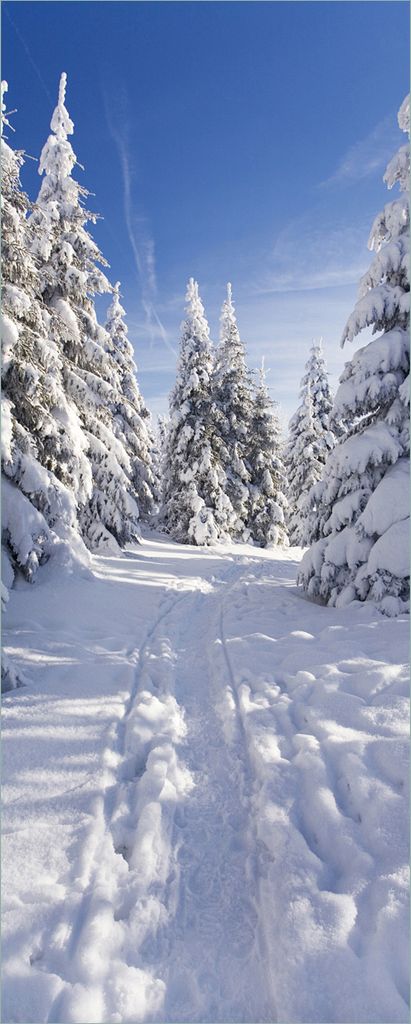 Wallario Poster - Wanderweg im Schnee, Kunstdruck Größe: 50 x 125 cm