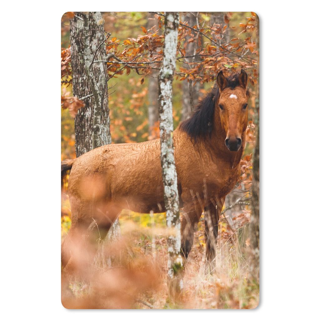 MuchoWow Mauspad Mousepad Pferd - Wald - Braun 18x27 cm - Mousepads - Maus Mat - Pad - Mausunterlage