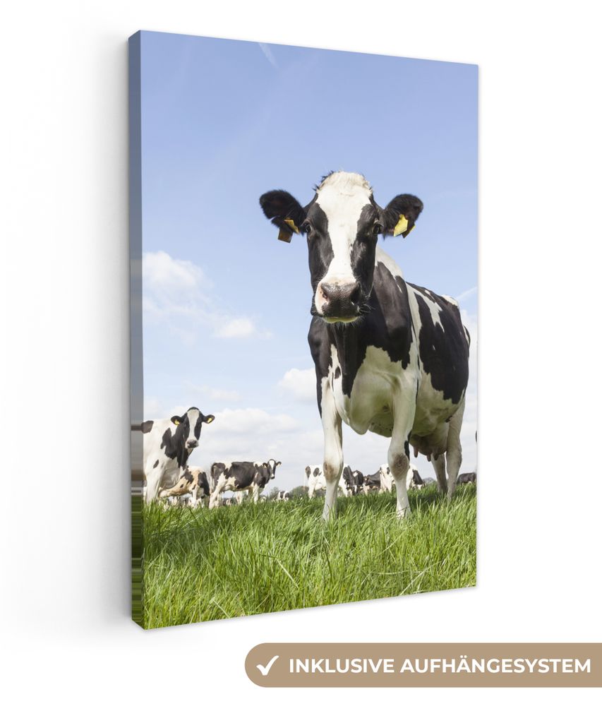 MuchoWow - Leinwandbilder - Kühe - Gras - Tiere - Sonne - Bauernhof, Wandbild, Wanddeko Bilder Wohnzimmer, 80x120 cm