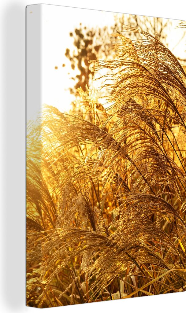 OneMillionCanvasses - Leinwandbilder - 90x140 cm, Pampasgras - Sonne - Gras, Wandbilder Kunstdruck Wanddekoration - Foto auf Leinwand - Gemälde ...