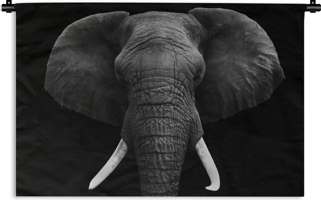 MuchoWow Wandteppich Wandbehang Elefant - Wildtiere - Schwarz - Weiß - Porträt 60x40 cm Tapisserie Dekoration Wandtuch - Wanddekorationen