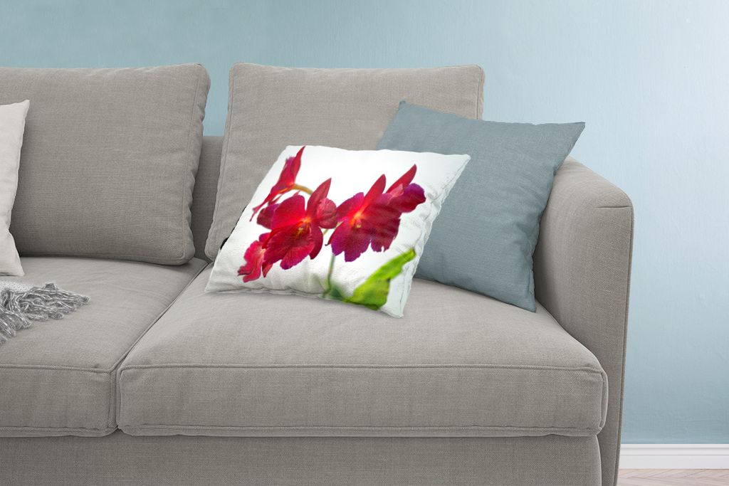 MuchoWow Zierkissen Sofakissen Wohnzimmer Dekokissen 60x40 cm Rote Orchideen vor weißem Hintergrund - Kopfkissen - Polster mit Foto