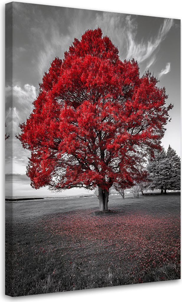 Leinwandbild Großer roter Baum Landschaft 80x120 Feeby Grau bild für die wand bereit zum aufhängen