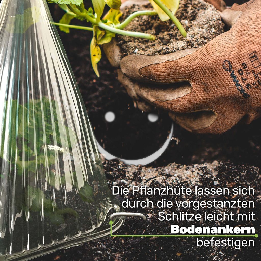 Hochbeet Abdeckung Die Top Pflanzenschutze Hauben April 2025