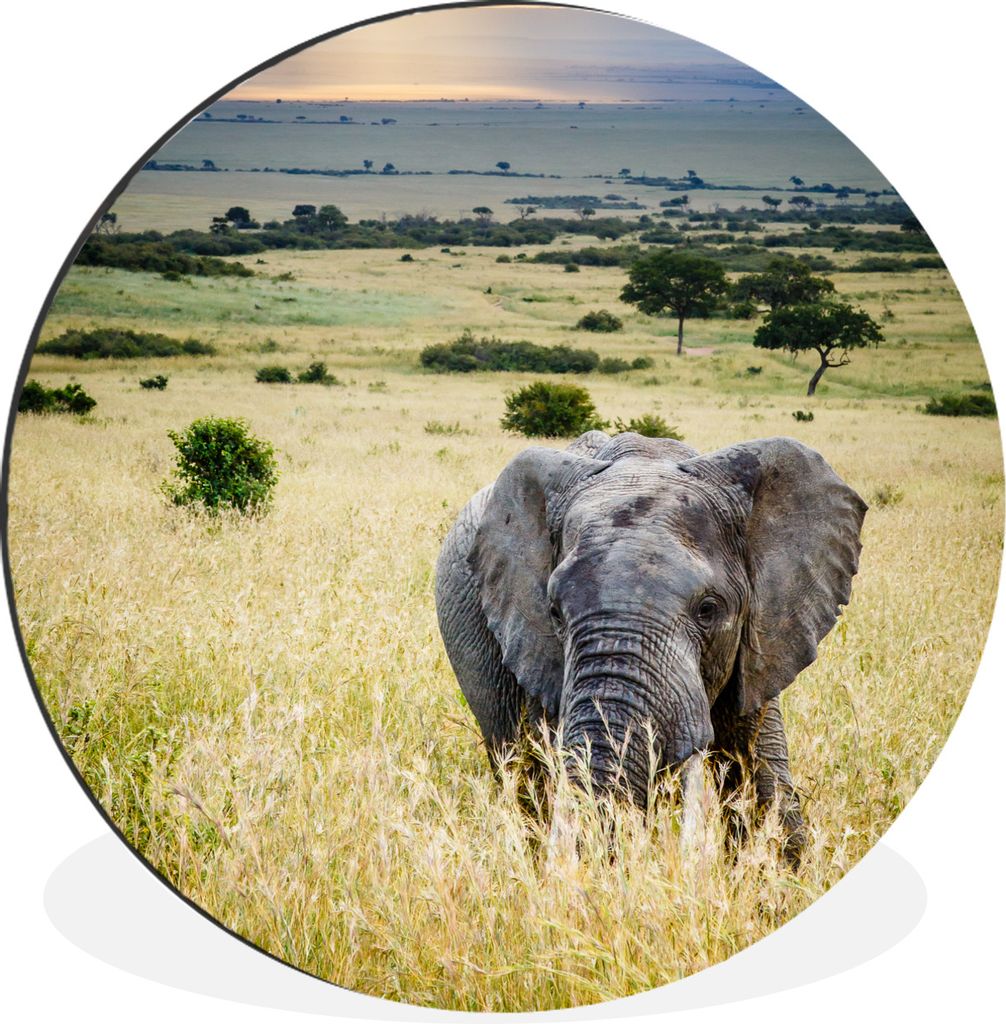 MuchoWow Aluminium Wandkreis Elefant - Tiere - Landschaft - Sonne - Natur Ø 90 cm Wanddeko Modern Wohnzimmer - Mauerkreis - Wandbilder - Runde B...
