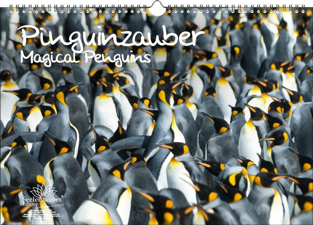 Pinguinzauber DIN A3 Immerwährender Kalender Pinguin - Seelenzauber