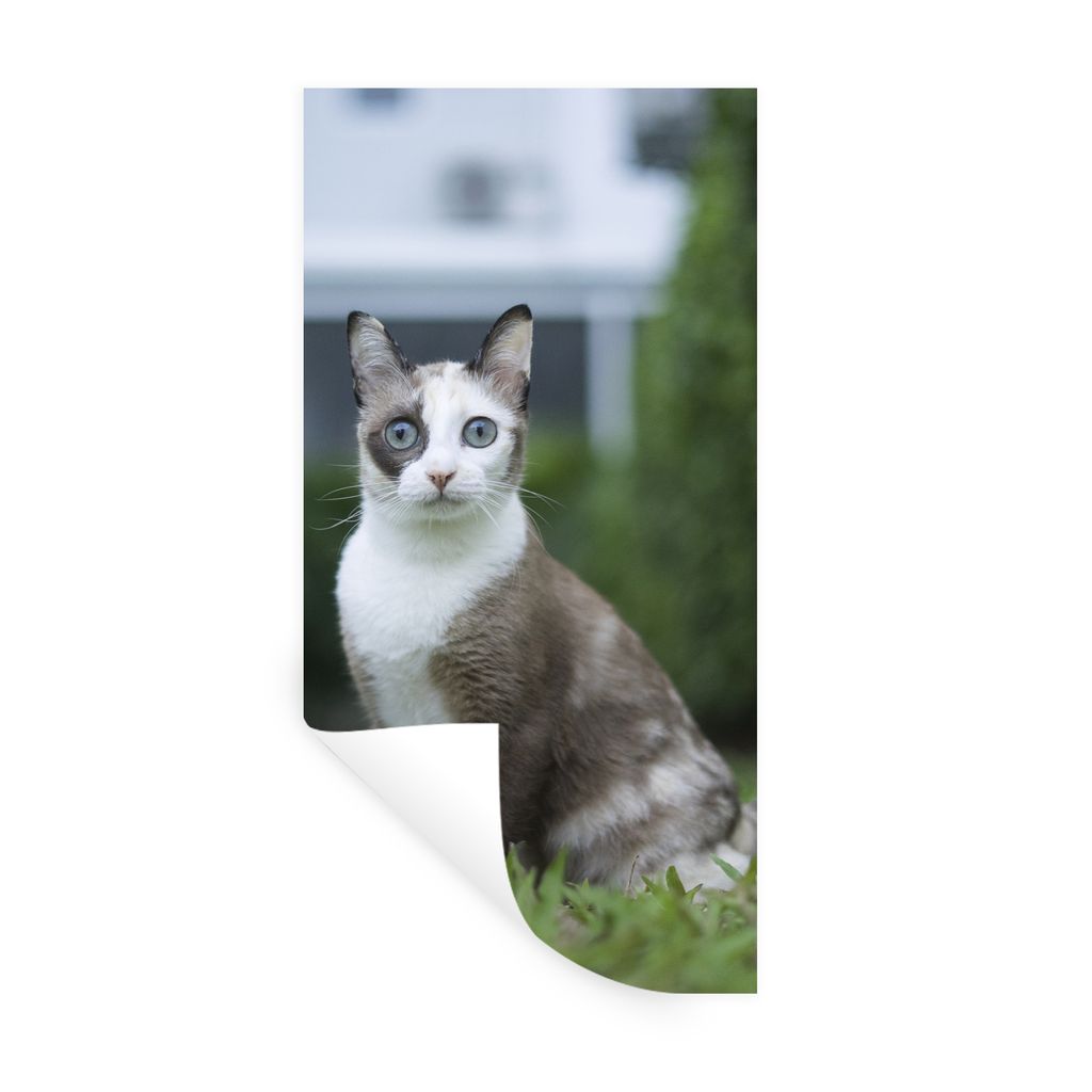 MuchoWow Wandtattoo Wandsticker Wandaufkleber Katze - Siamese - Gras - Mädchen - Kinder - Jungen - Kind 60x120 cm Selbstklebend und Repositionie...