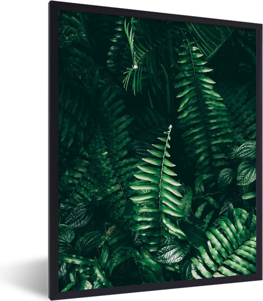 MuchoWow Gerahmtes Poster Blätter - Dschungel - Natur - Tropisch - Pflanzen 60x80 cm - Poster mit Schwarzem Bilderrahmen Wandposter Rahmen Foto ...