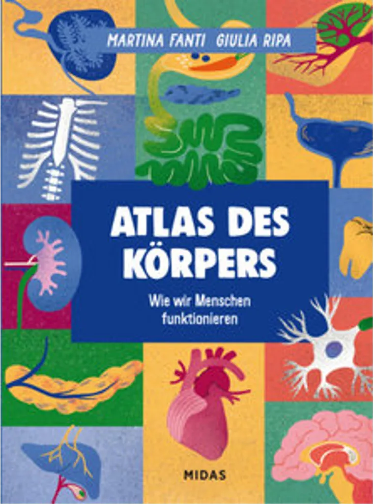 Livre Atlas des Körpers : Encyclopédie Illustrée d'Anatomie Médicale