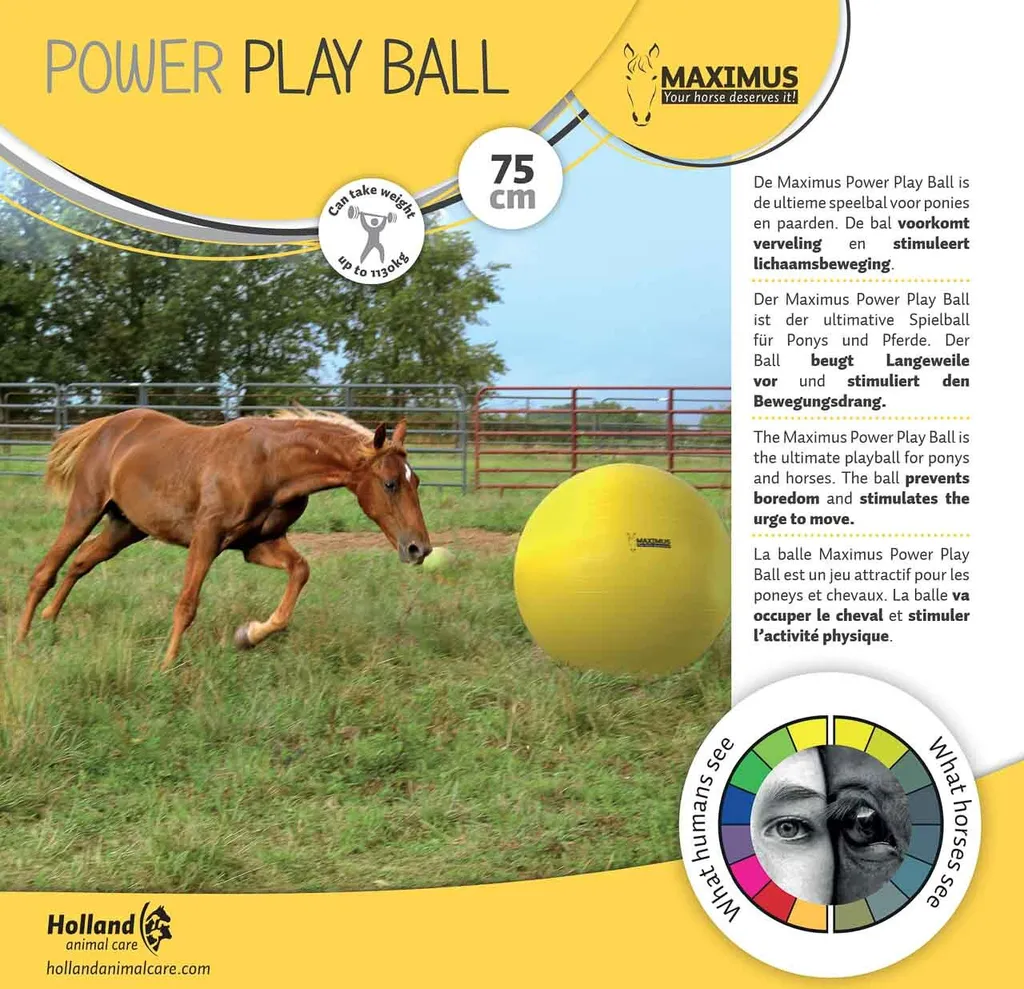 Palla Maximus Power Play 75 cm: Gioco Anti-Noia per Cavalli e Pony