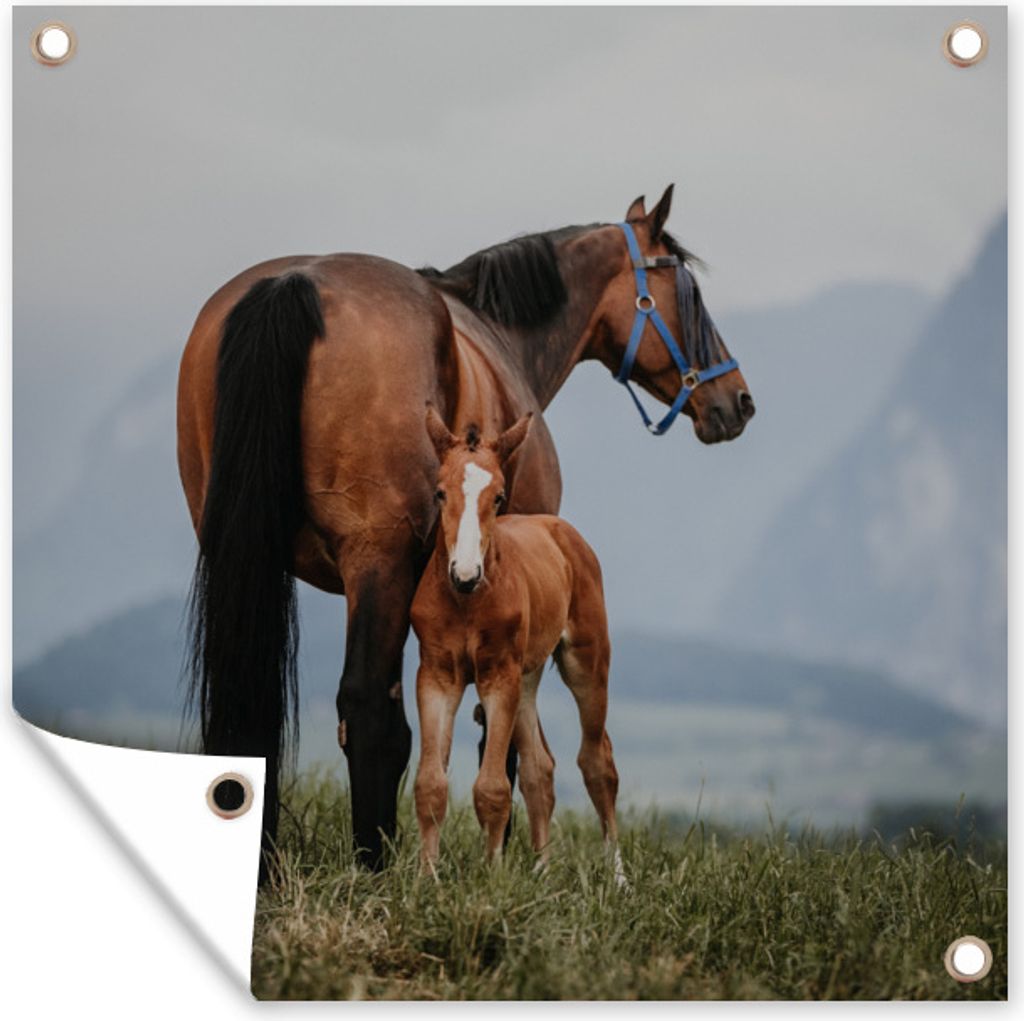 MuchoWow 50x50 cm Outdoor-Poster Gartendeko Sichtschutz Garten Poster für den Garten Pferd - Fohlen - Berg