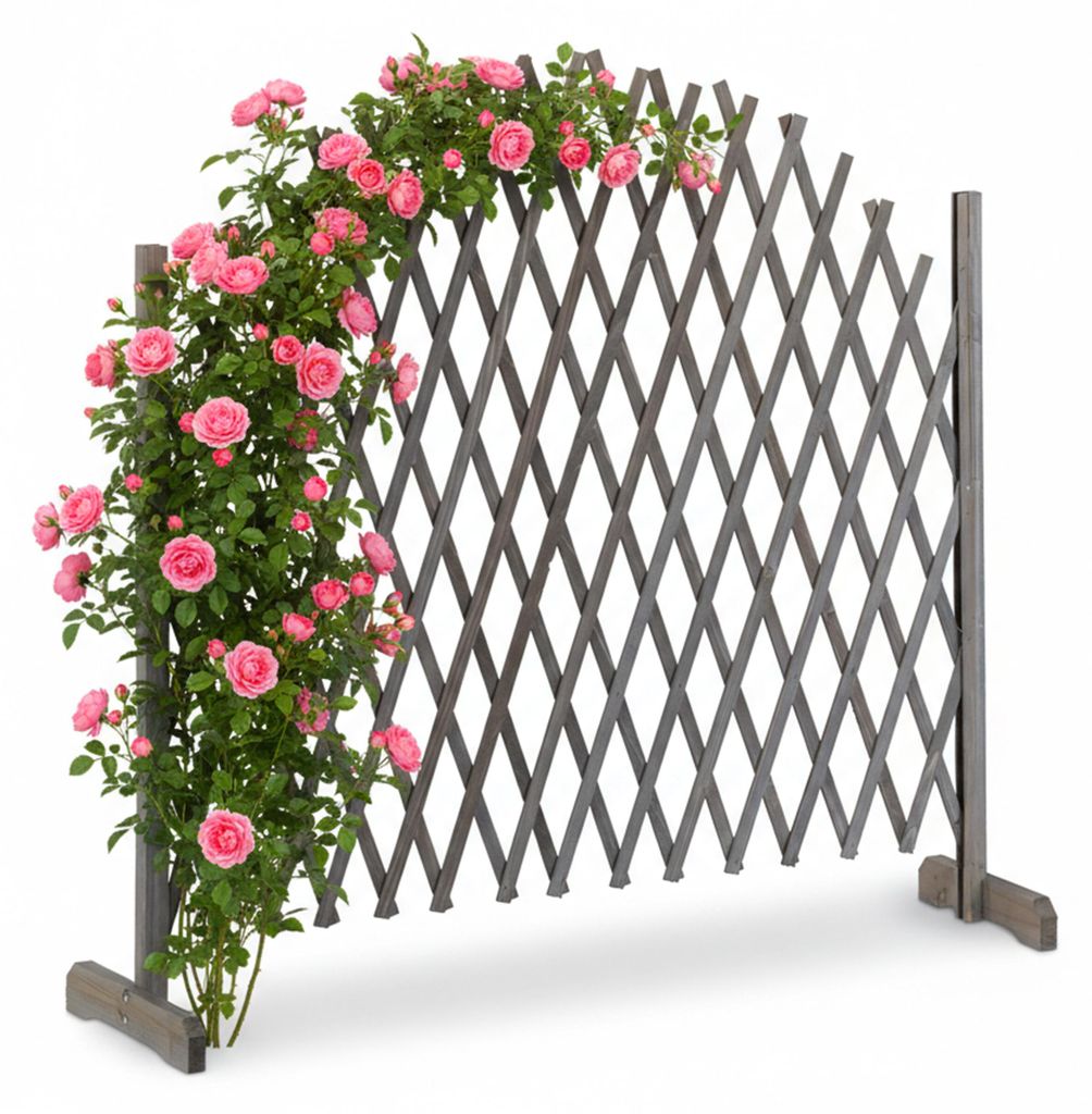 Treillis en bois Relaxdays, extensible jusqu'à 200 cm, Image du produit 
