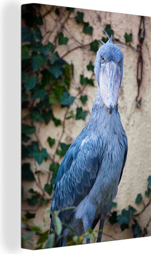 OneMillionCanvasses - Leinwandbilder - 90x140 cm, Blauschuh-Storch, Wandbilder Kunstdruck Wanddekoration - Wandschmucke - Schlafzimmer