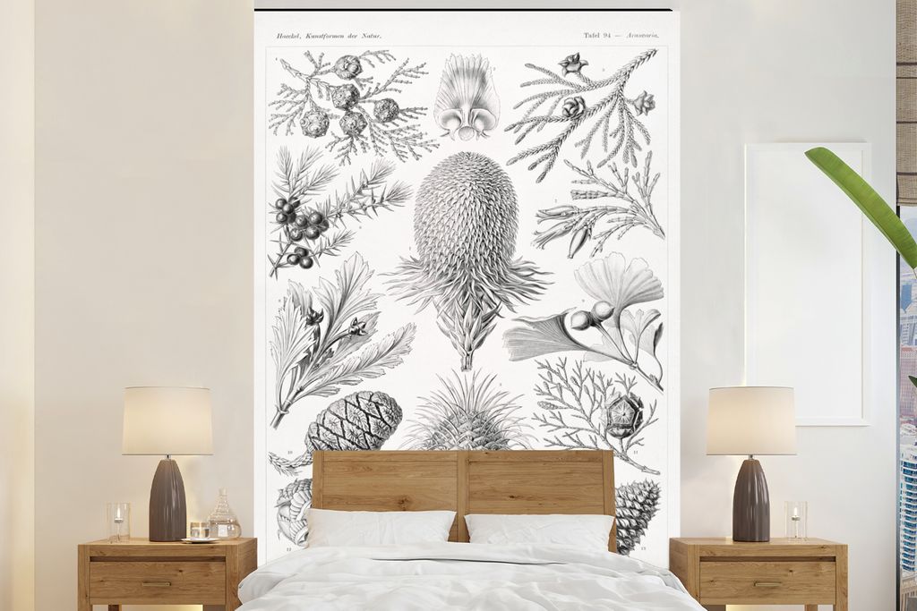 MuchoWow Fototapete für Wohnzimmer oder Schlafzimmer Wandtapete Vinyl Motivtapete Koniferen - Ernst Haeckel - Kunst - Retro - Illustration - Nat...
