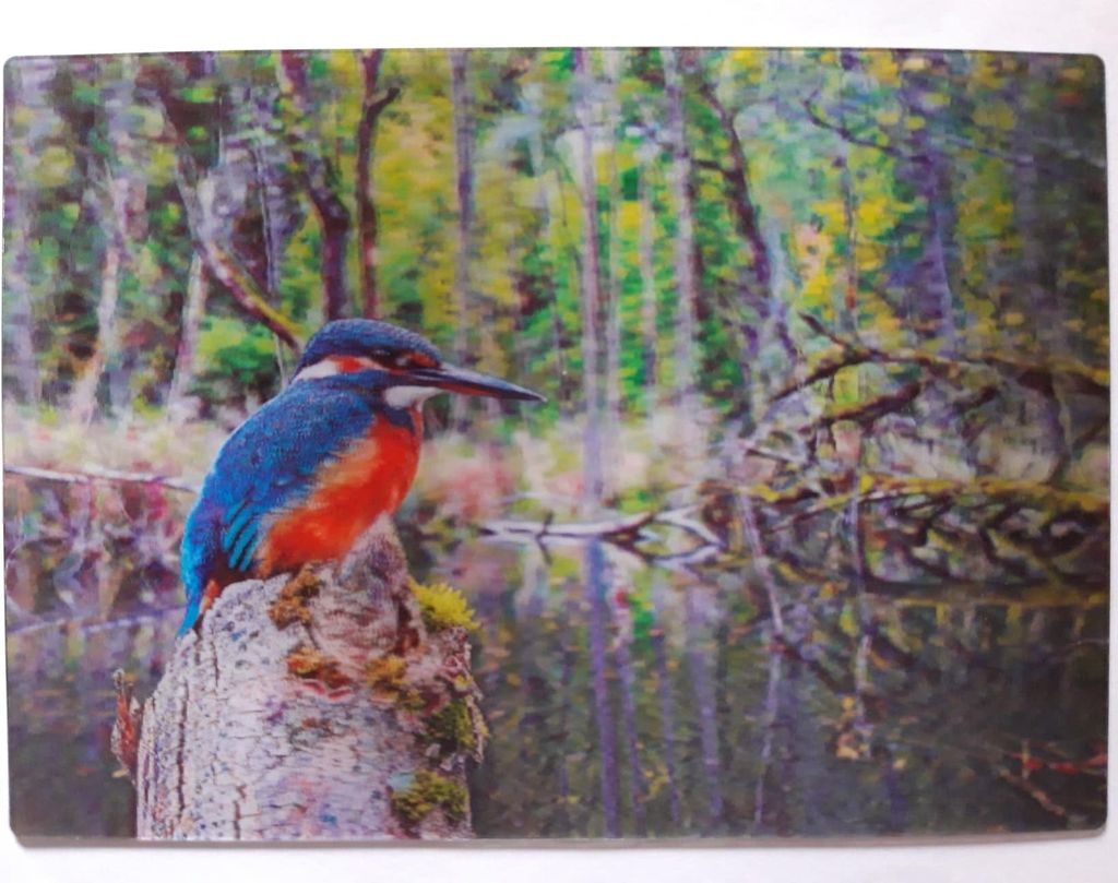 3 D Ansichtskarte Eisvogel, Postkarte Wackelkarte Produktbild 