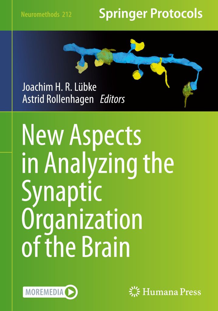 New Aspects in Analyzing the Synaptic Organization of the Brain