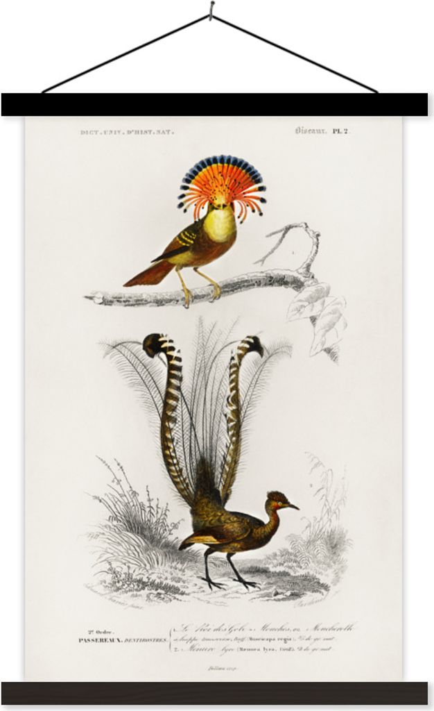 MuchoWow Textilposter Vogel - Vintage - Zweig 40x60 cm mit schwarzem Rahmen - Wanddekorationen