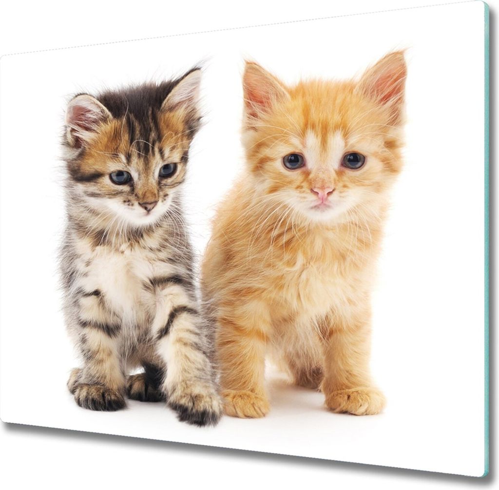 Glas Herdabdeckplatte 60x52 cm Spritzschutz Glasabdeckplatte Schneidebrett Katze Tier