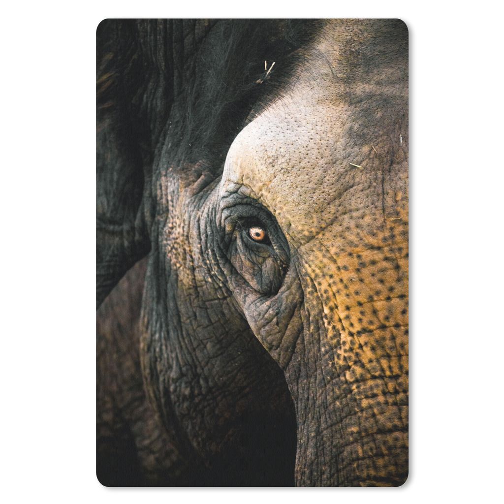MuchoWow Mauspad Mousepad Elefant - Nahaufnahme - Tiere - Natur 40x60 cm - Mousepads - Maus Mat - Pad - Mausunterlage - Schreibtisch Accesoire