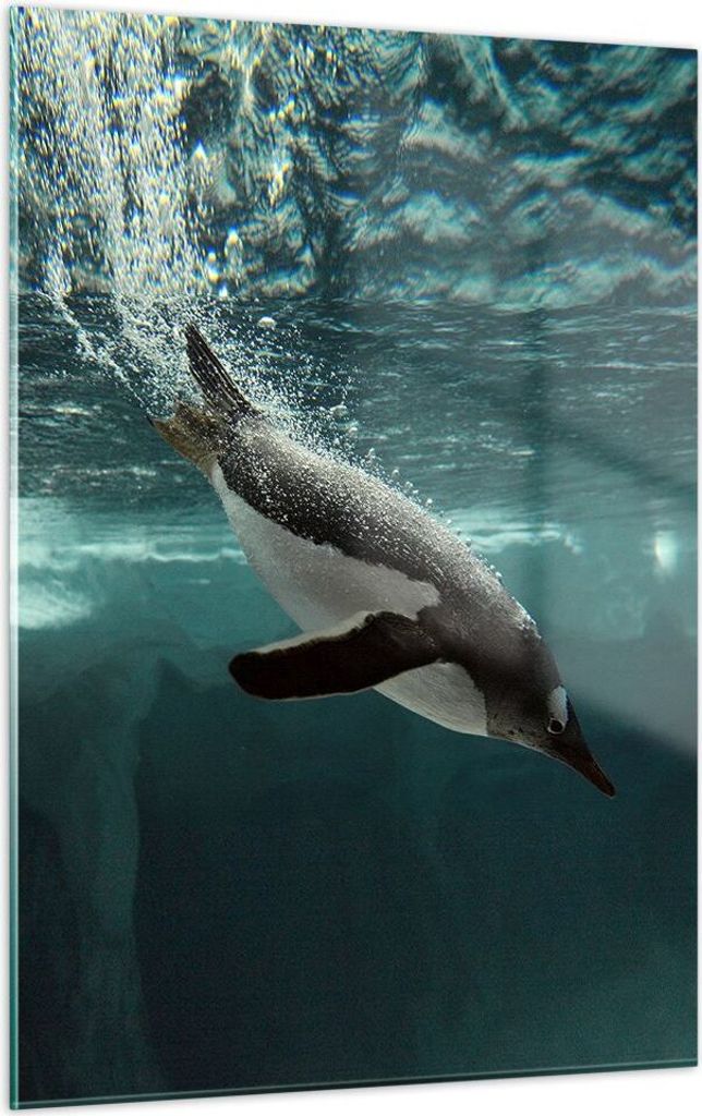 Bilder auf glas - Einteilig - Tauchen Pinguin Gletscher - 50x70cm - Glasbilder - Wandbilder - Bilder - zum Aufhängen bereit - Wanddekoration aus G...