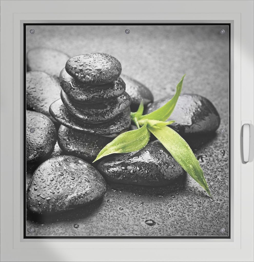 Wallario Lichtschutzbild, Dekorativer Sichtschutz Sonnenschutz 96 x 100 cm mit Motiv: Bambustrieb auf schwarzen Steinen, benetzt mit Wasser-Tropfen...