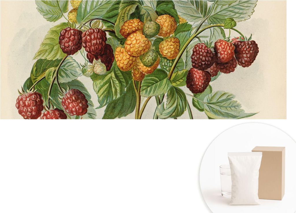 Fototapete - Wandbilder für Wohnzimmer - 208x146 cm - Dekorative Wandfolie - Modernes Design für Wanddekoration - Tapeten für Innenräume - Klas...