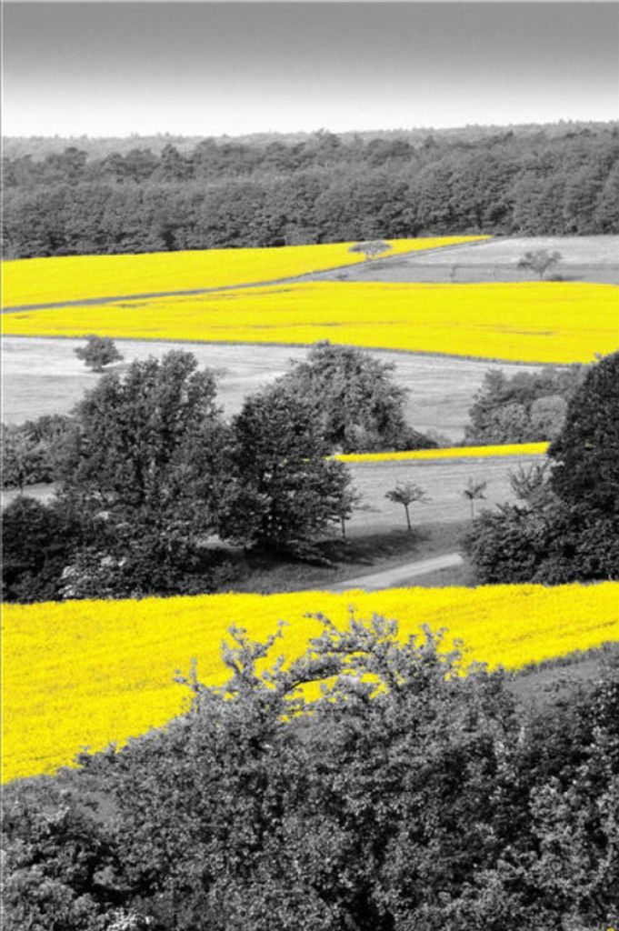 TPFLiving Kunstdruck LW-05 (OHNE RAHMEN) Poster - Leinwand - Wandbild - Hochauflösender Giclée-Druck, langlebig und hochwertig - Landschaften und...