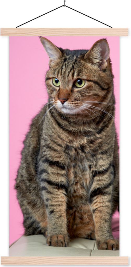 MuchoWow Textilposter Katze - Rosa - Pouf - Mädchen - Kinder - Kinder 60x120 cm mit holzfarbenen Rahmen - Holz