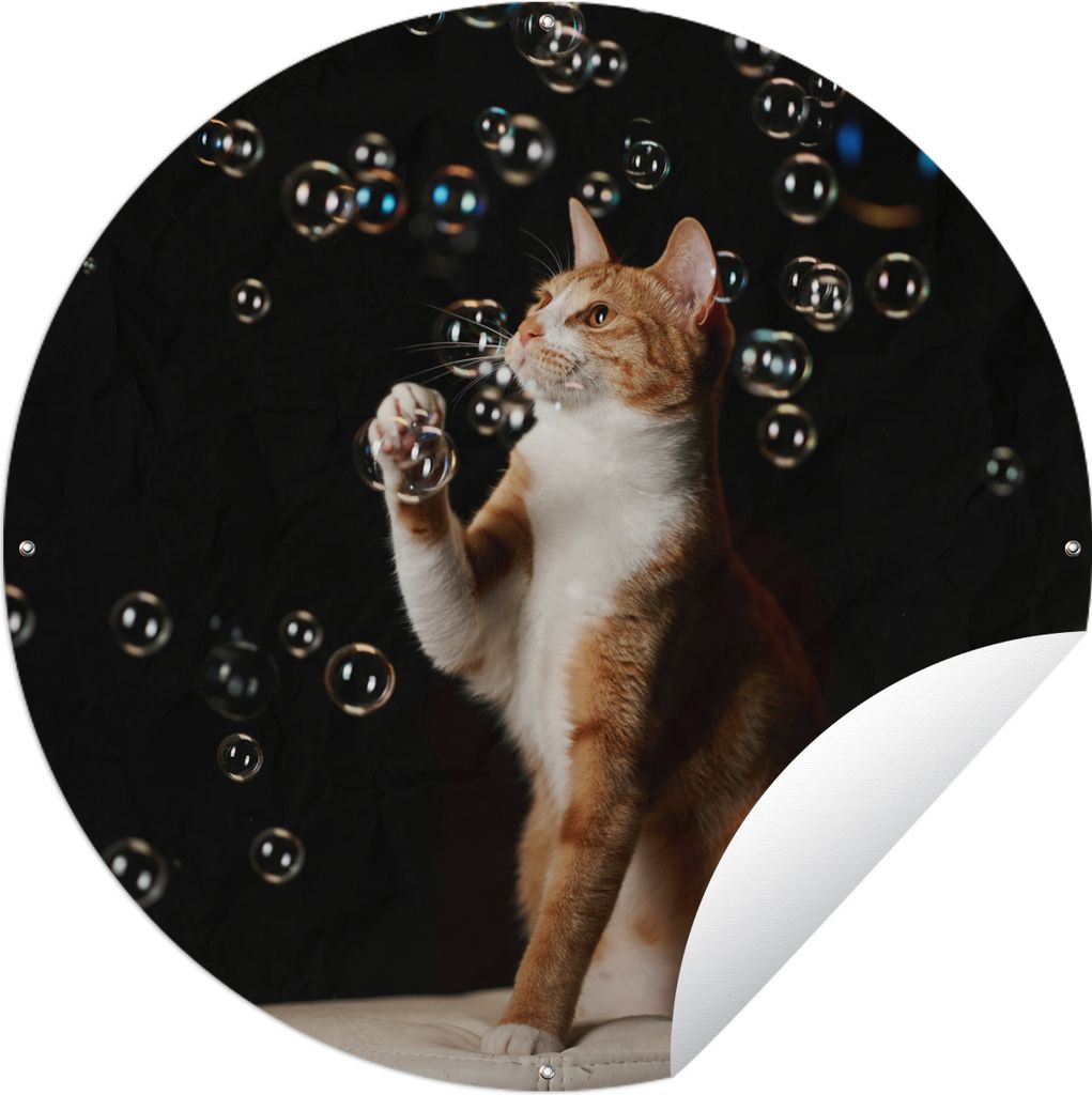 MuchoWow Gartenposter Outdoor-Poster Rund Rote Katze mit Blasen Ø 90 cm Gartendeko Rundes Poster draußen