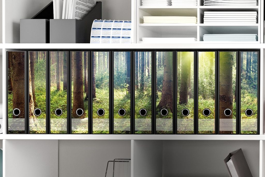 Wallario Ordnerrücken Sticker, selbstklebend für breite Ordner, 12 Stück, Motiv Sonnenuntergang im Wald zwischen den Bäumen