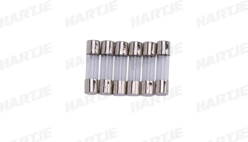 Lot de Fusibles Tubulaires en Verre 5x20 mm 1A pour Circuits Internes