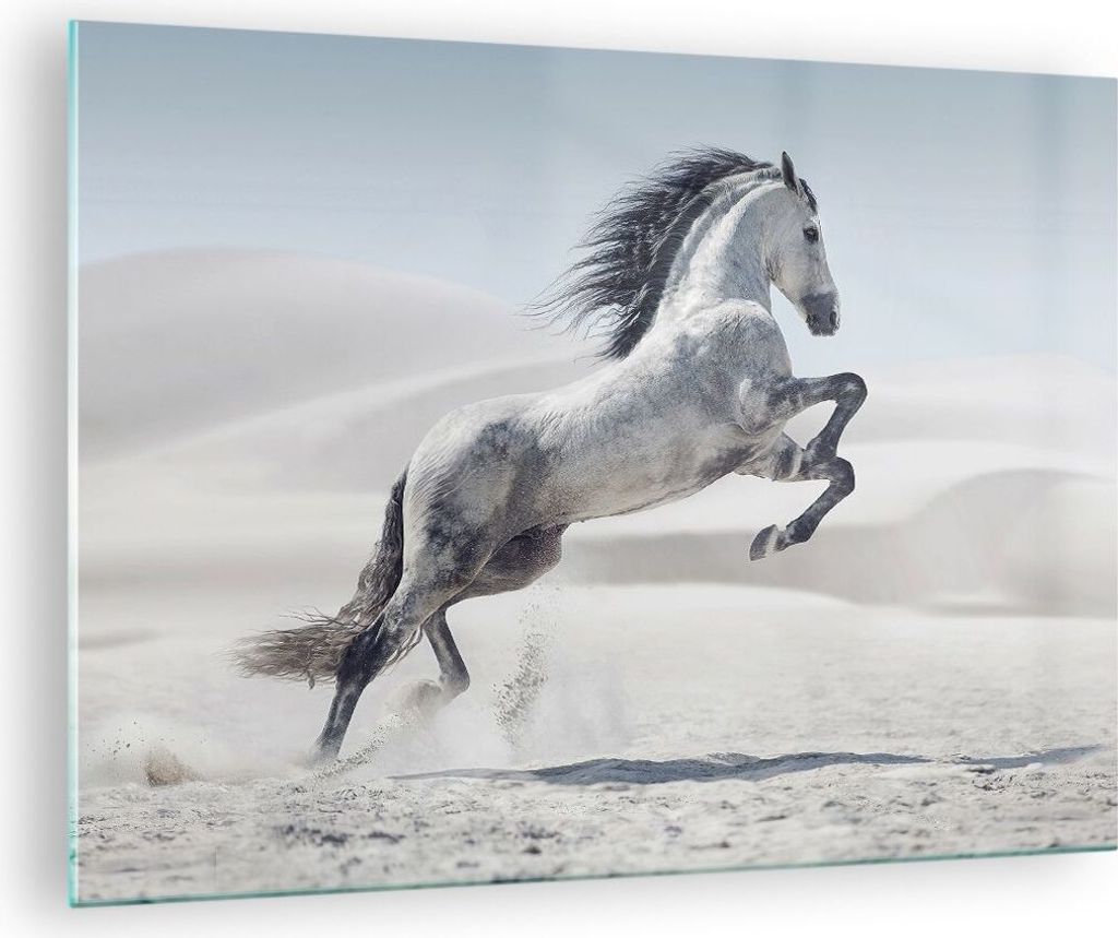 Bilder auf glas - Pferd Tier Natur - 70x50cm - Glasbilder - Wandbilder - Kunstdruck - zum Aufhängen bereit - Wanddekoration aus Glas - Glas Bilder...