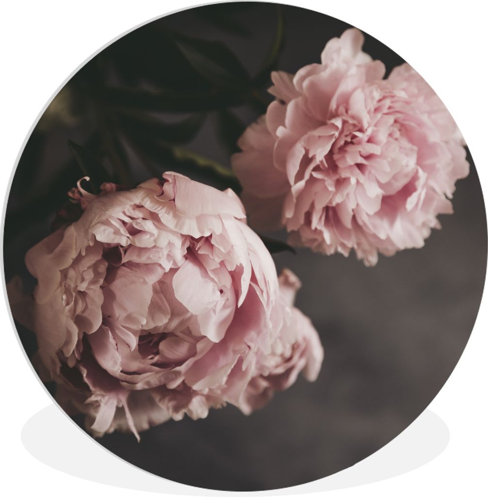 MuchoWow Rundes Wandbild - Runde Bilder Blumen - Rosa - Pfingstrose - Stilleben Ø 60 cm Kreis Wanddekoration Kunststoff - Wandkreis - Wandschmuc...