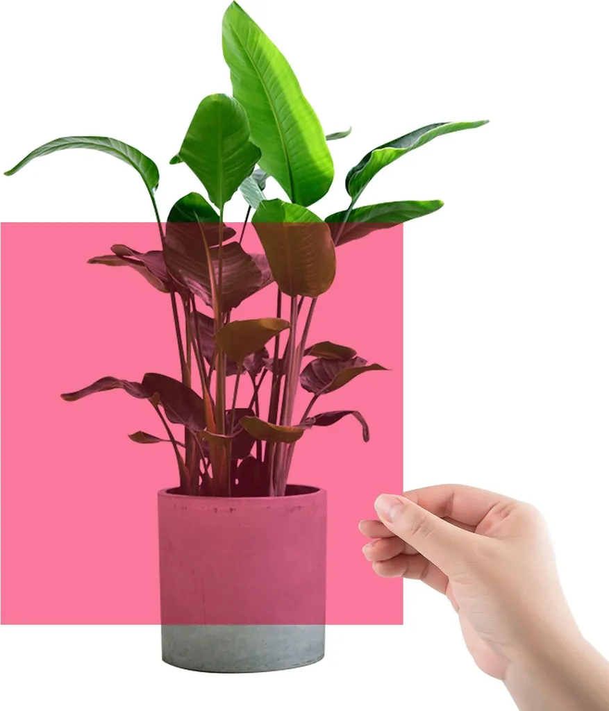 Kit 20 Fogli Trasparenti Colorati 50x40cm | Filtri Gel per Illuminazione LED