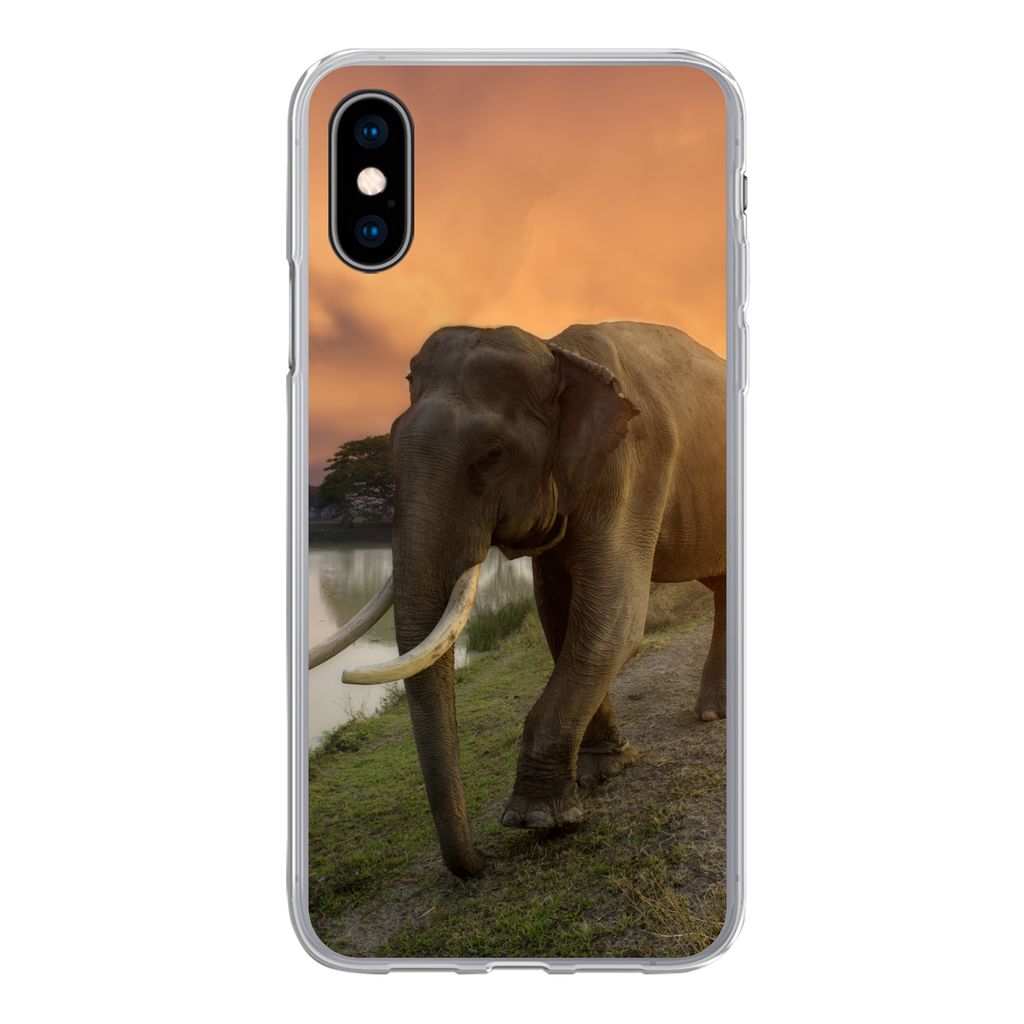 MuchoWow Handyhülle Schutzhülle Hülle für iPhone X Elefant - Wasser - Tiere - Sonnenuntergang - Natur Silikon Softcase Handy Hülle - Handyh...