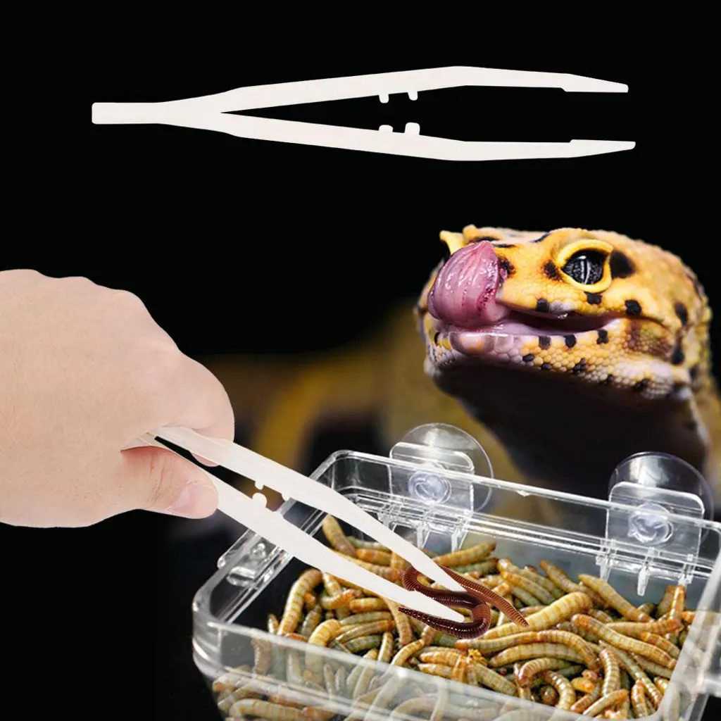 Stazione Alimentazione Rettili - Kit Anti-Fuga per Vermi e Scorpioni