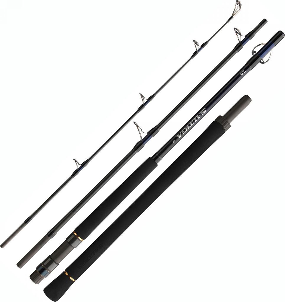DAIWA Saltiga Air Portable, 2,4m, 7,87ft, 40-110g, 4 Teile, Produktbild 