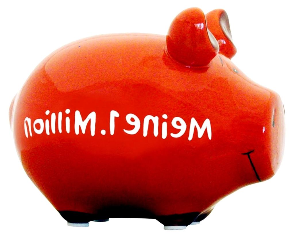 'Meine 1. Million' Kleinschwein 100957