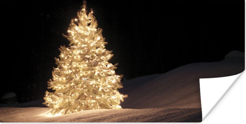 MuchoWow Poster Ein beleuchteter Weihnachtsbaum bei Nacht 80x40 cm - Wanddeko