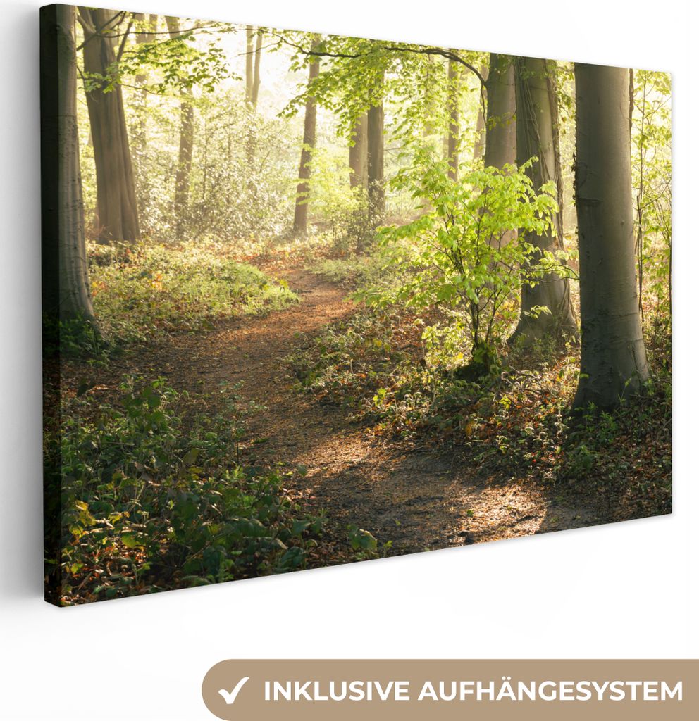 MuchoWow - Leinwandbilder - Wald - Bäume - Weg - Sonne - Pflanzen - Laub - Natur, Wandbild, Wanddeko Bilder Wohnzimmer, 120x80 cm