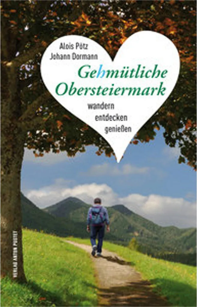 Pantoufles Gehmütliche Obersteiermark en feutre de laine pour homme