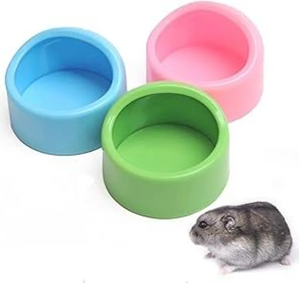Ciotole Colorate per Animali Domestici - Set 3 Pezzi Anti-Rosicchio