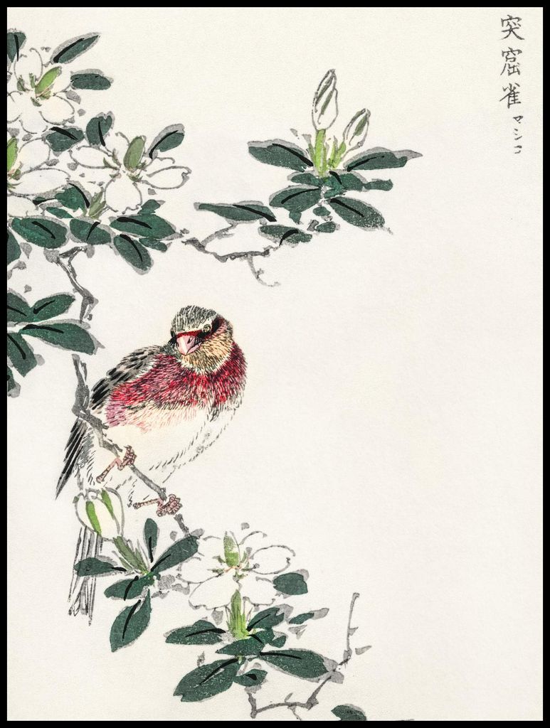 Poster 75x100cm Rosefinch, Japanische Kashu Vintage für das Wohnzimmer