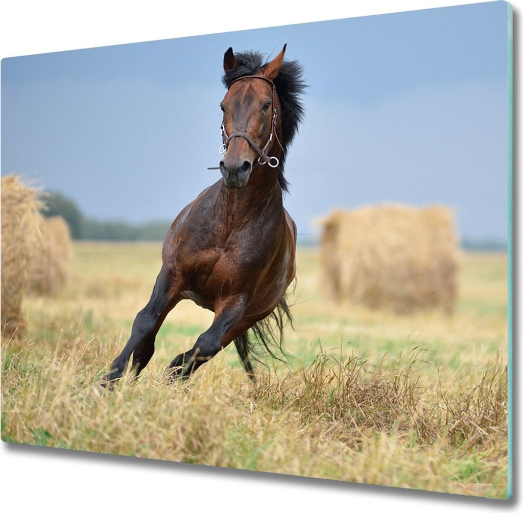 Glas Herdabdeckplatte 60x52 cm Spritzschutz Glasabdeckplatte Schneidebrett Pferd im Galopp