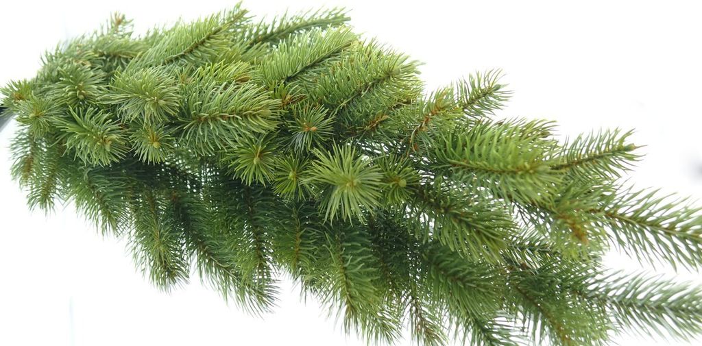 Weihnachtsdekoration Tannenzweig Grün - Kunststoff 57 cm